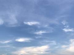 이런 휴가를 상상한 게 아니었는데 0