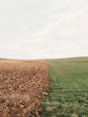 [2차] 멋진 징조들