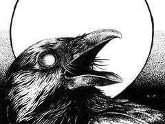 불행은 늘 우리의 편이다.