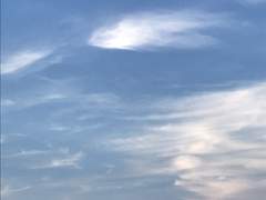 이런 휴가를 상상한 게 아니었는데 1