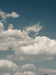 정이 든 이야기