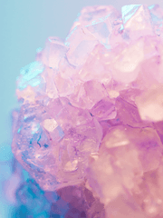 루팡패트 / 적황 / 새로운가족