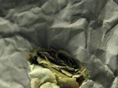 [마마디셈] 향수는 체온에 녹는다