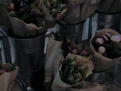 펜은 칼보다 강하다