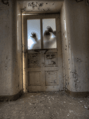 [ 커뮤 ] 우리는 모두 살아있었다