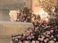 가장 중요한 것은 눈에 보이지 않는다.