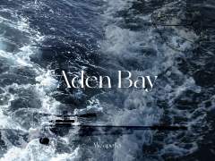 아덴만 : Gulf of Aden 인터뷰 2