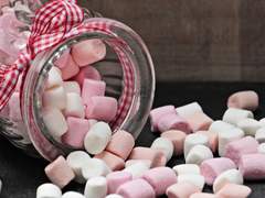 료바 비너스 / 18 / XY / 펜싱부