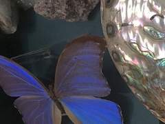 당신이 날 버리기 전에