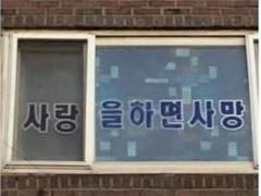 [호열백호] 사랑 찾아드립니다 ②