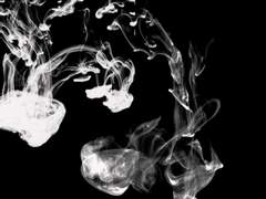 [나오시호] 점철되고 어긋난