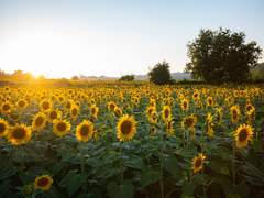[도리벤] 여름이었다.