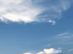 이런 휴가를 상상한 게 아니었는데 6 (마지막 에피소드)