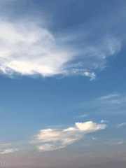 이런 휴가를 상상한 게 아니었는데 