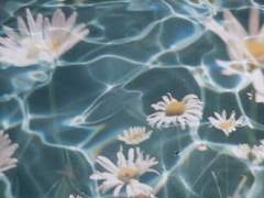 아비디야 숲 순찰관.