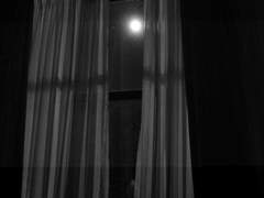 아카데미에 입학하신 여러분을 진심으로 환영합니다