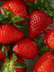 세상에서 가장 달콤한 우체국