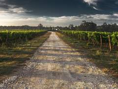 사랑이 나의 것이라면(3)