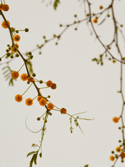 좌충우돌 드림 공간