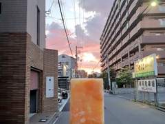 [DAY 113, 114] 일상