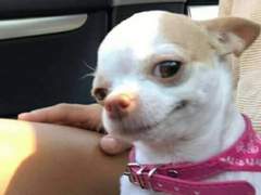 버뮤다 삼각지대📐🌊 上