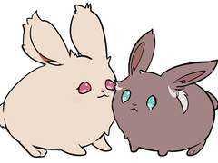 토끼(솜덩이)연성