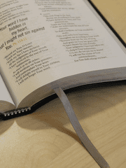 로드 오브 히어로즈 (로오히)