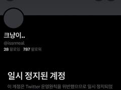 크래커악개 또 정지먹다