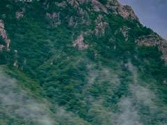 외뿔을 심장에 박음으로써