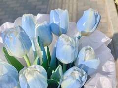 이보다 좋을 순 없다 prologue