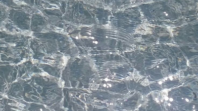 포스트 37호 개새끼 上