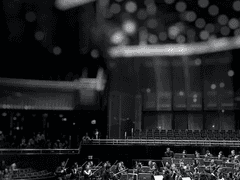 [ 三日月 好き / 男 / 19 ]