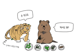 깡쏜수인 낙서 백업