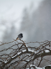 떠날 것들을 품에 끌어안고