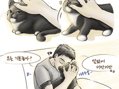 턱시도고영마홈 키우는 레레