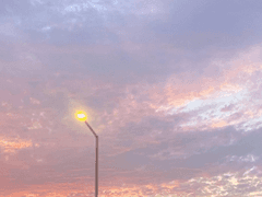 이주헌의 Freedom부터