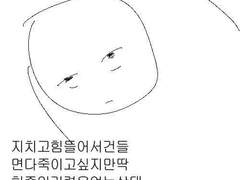 한라봉 서리 대작전 10