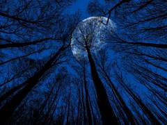 그대와 함께 춤을