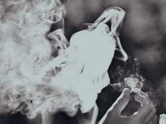 비반 커스트 ? 담배벌레