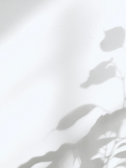 2차 창작 단편 모음