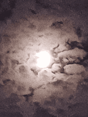 아무도 몰랐던 이야기