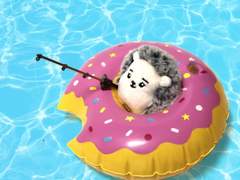 고센도치의 바캉스