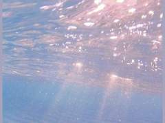 물은 이제 나와 한 몸과도 같아