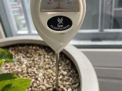 식물 관리 서비스를 쓰고 싶어요!