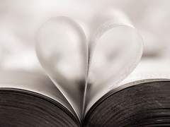 ㄷ님 감상문 커미션