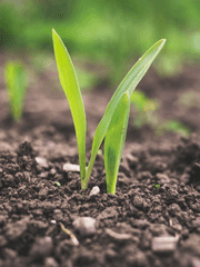 오늘부터 같이 귀농한답니다