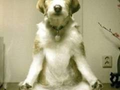 주식에서 수익내기 위해 반드시 필요한 2가지