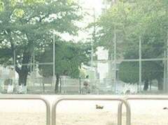 강한나/XX/1학년