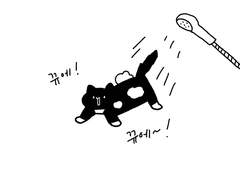 콩자가 뿔났다 (2)