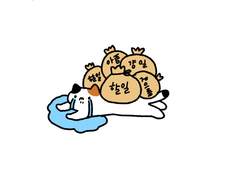 꼬갈(꼬리 갈기기)